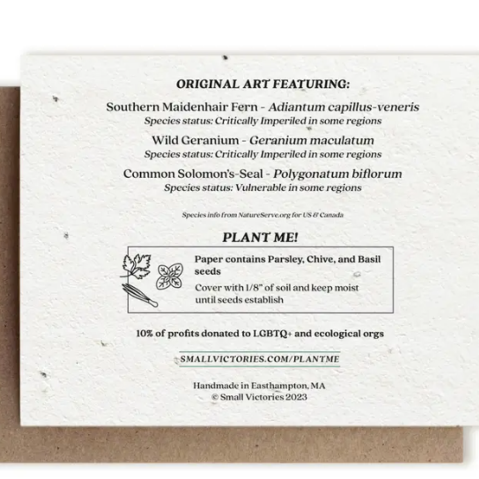 The Bower Studio The Bower Studio plantable seed  card Botanical  Thank You