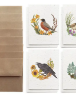 The Bower Studio The Bower Studio birds of the seasons  Greeting Cards box set