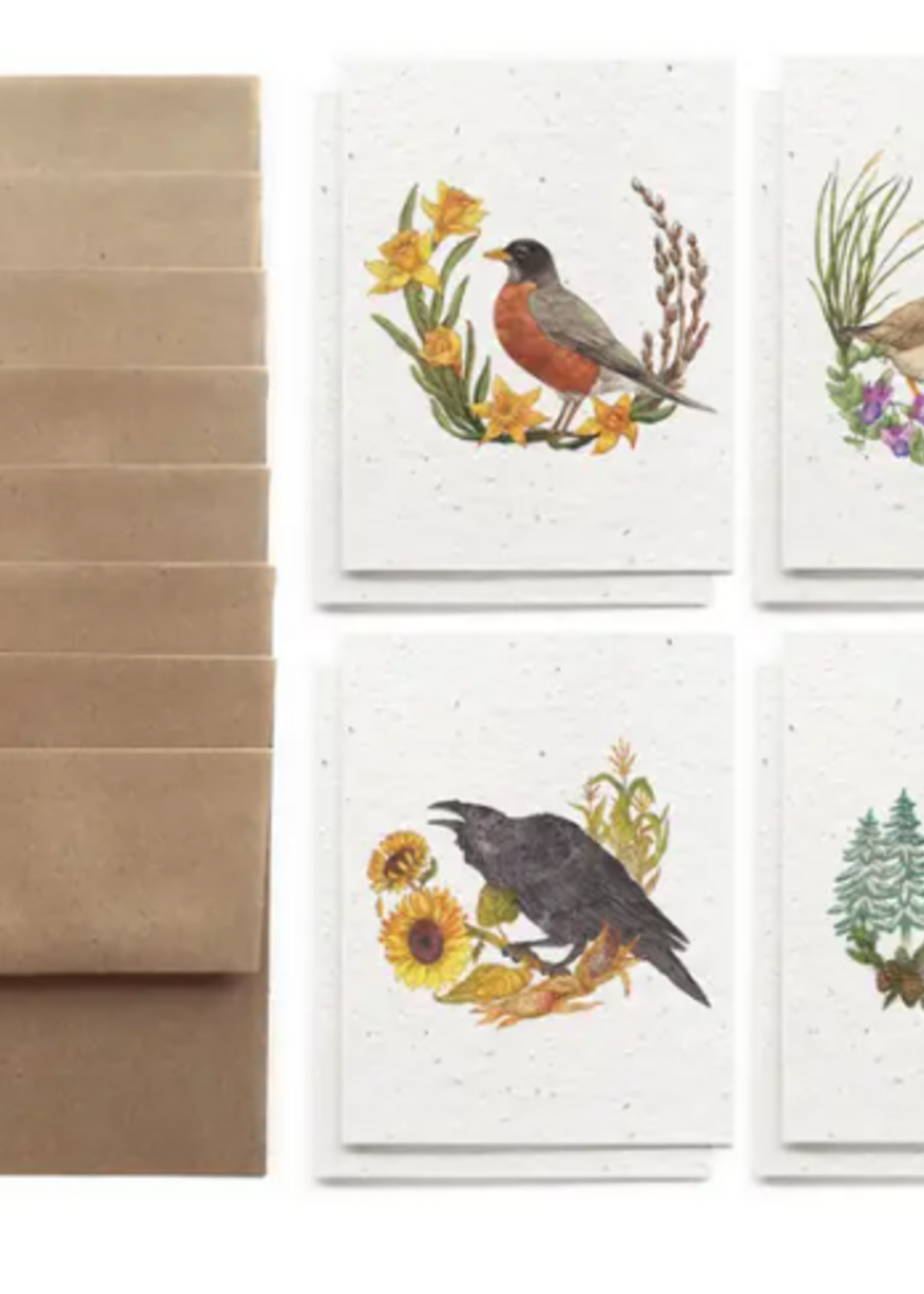The Bower Studio The Bower Studio birds of the seasons  Greeting Cards box set