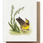 The Bower Studio The Bower Studio  Meadowlark