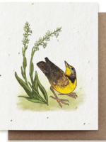 The Bower Studio The Bower Studio  Meadowlark