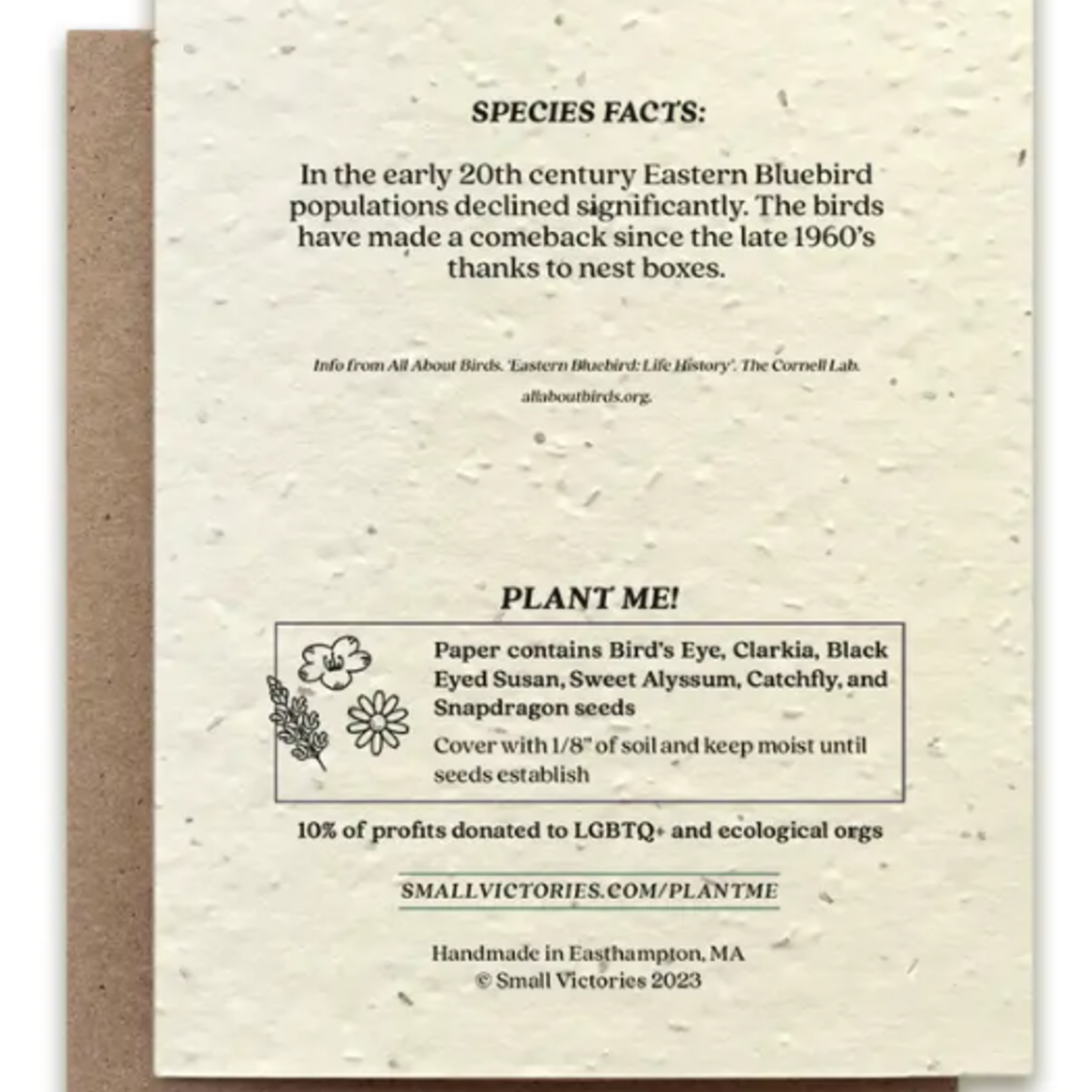 The Bower Studio The Bower Studio plantable seed card Bluebird