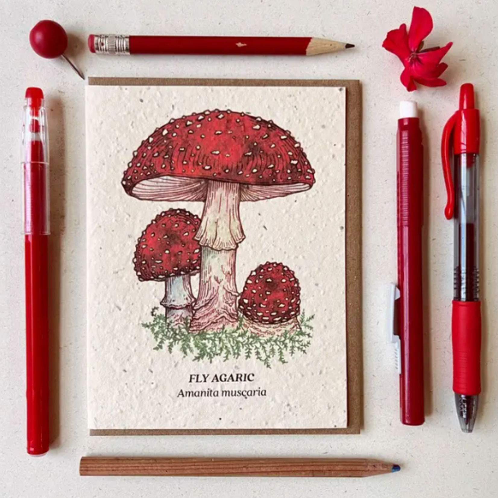 The Bower Studio The Bower Studio plantable seed card fly agaric mushroom