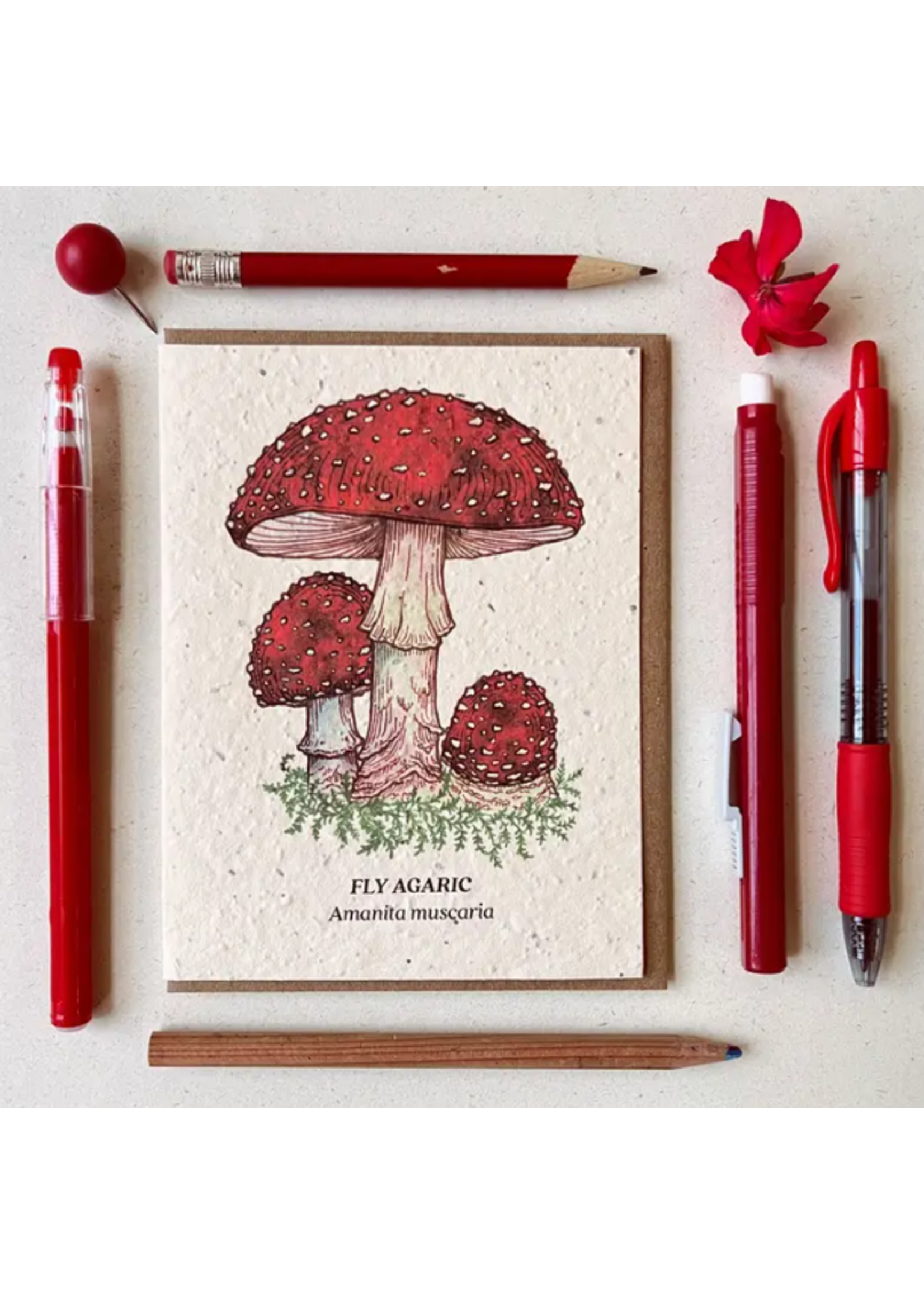 The Bower Studio The Bower Studio plantable seed card fly agaric mushroom