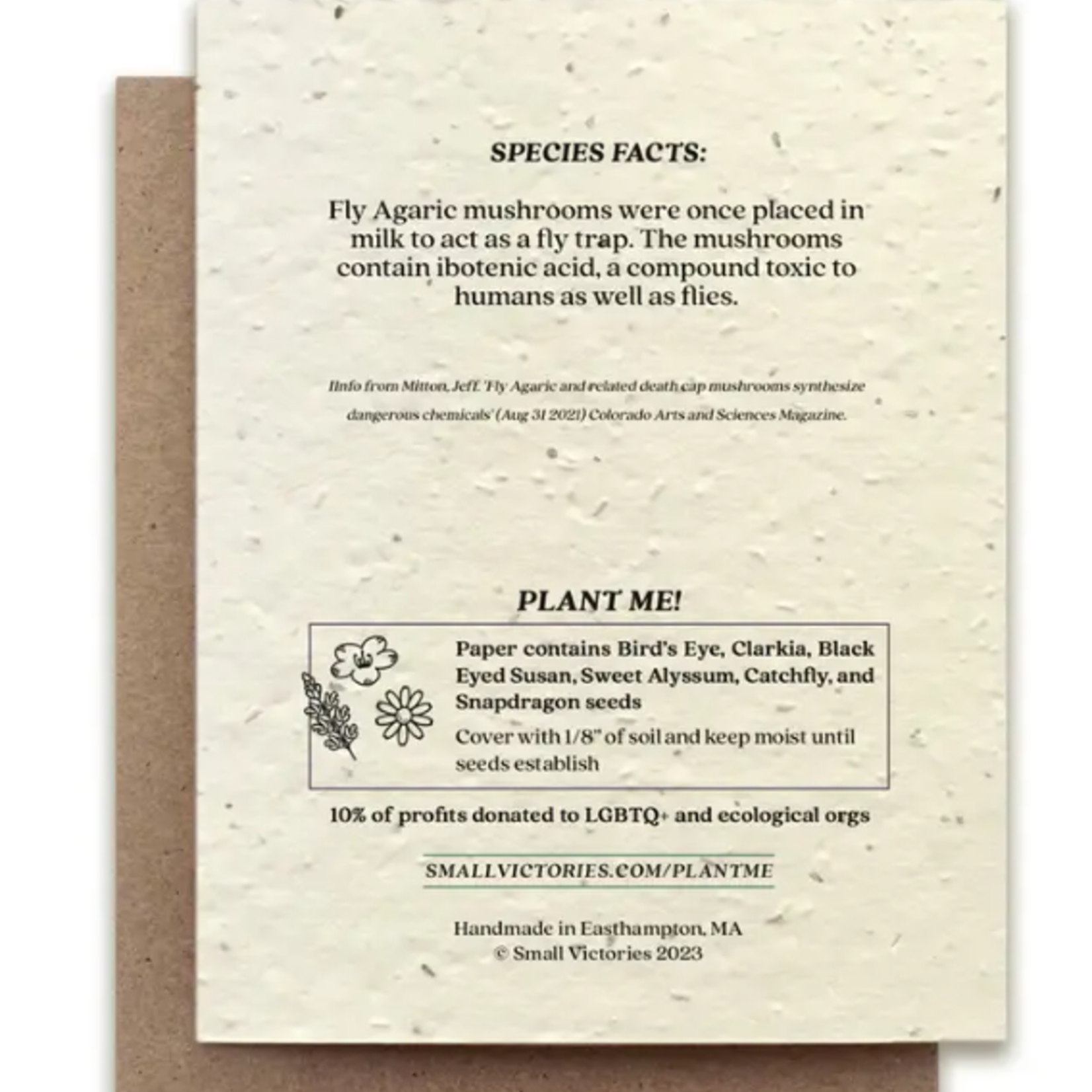 The Bower Studio The Bower Studio plantable seed card fly agaric mushroom