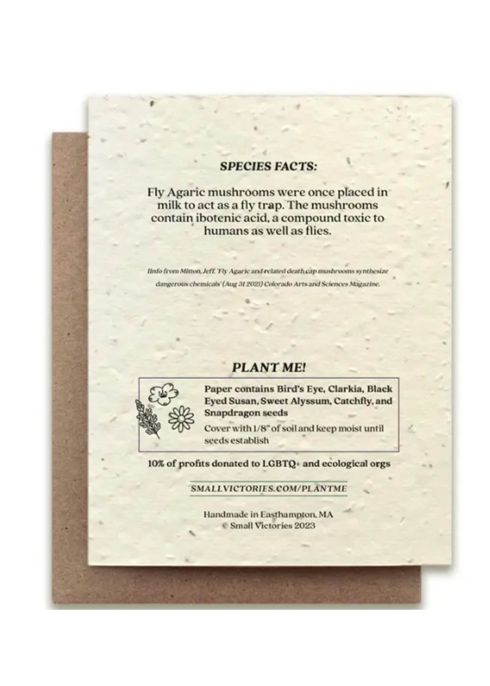 The Bower Studio The Bower Studio plantable seed card fly agaric mushroom