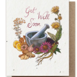 The Bower Studio The Bower Studio get well soon herb