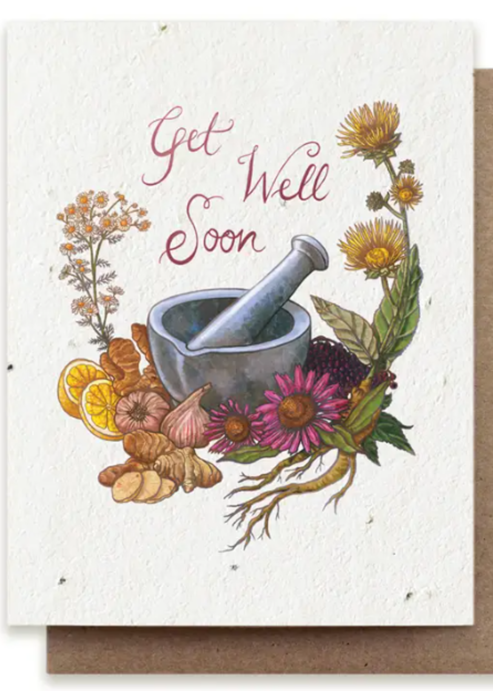 The Bower Studio The Bower Studio get well soon herb