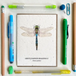 The Bower Studio The Bower Studio plantable seed card Dragonfly