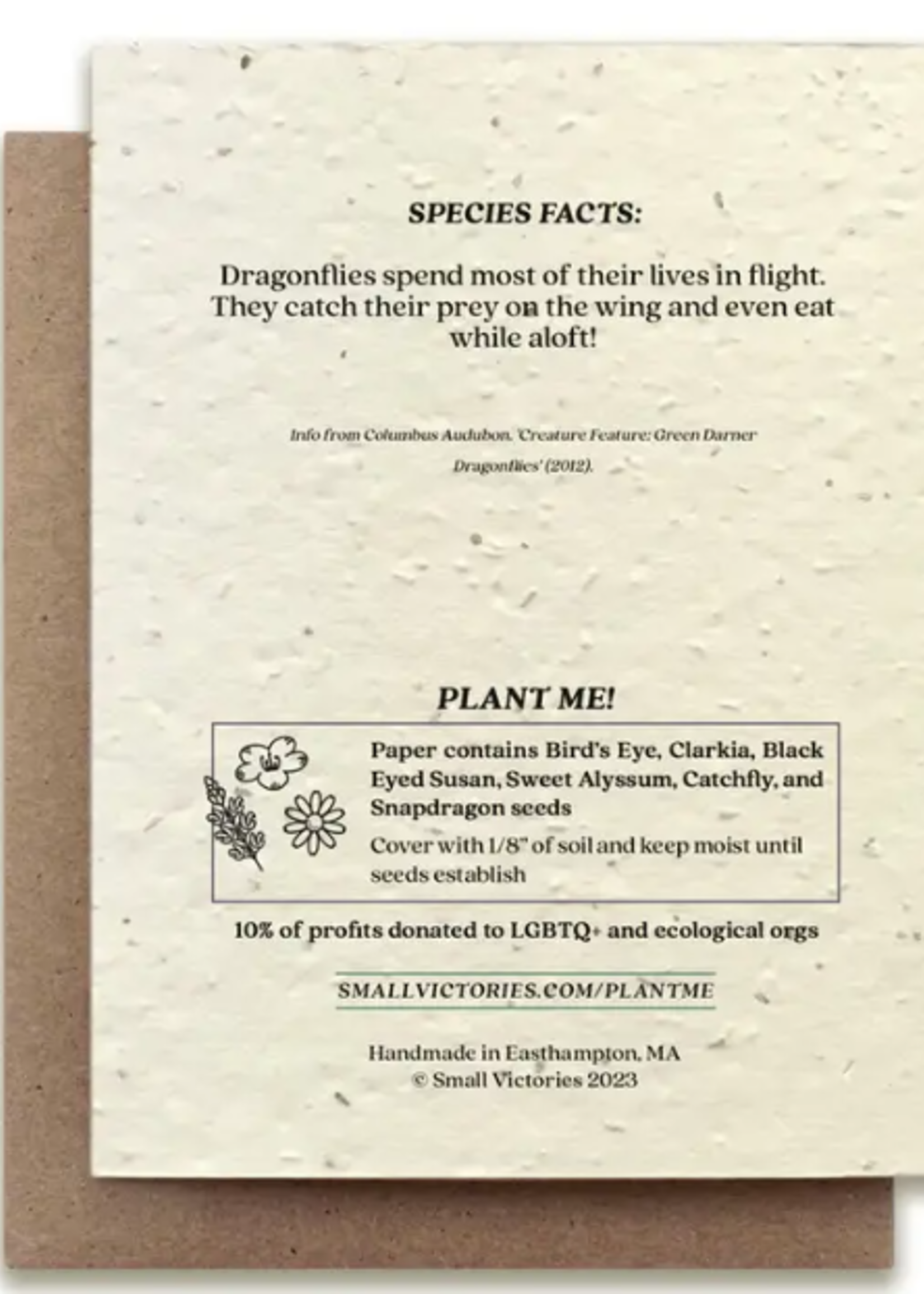 The Bower Studio The Bower Studio plantable seed card Dragonfly