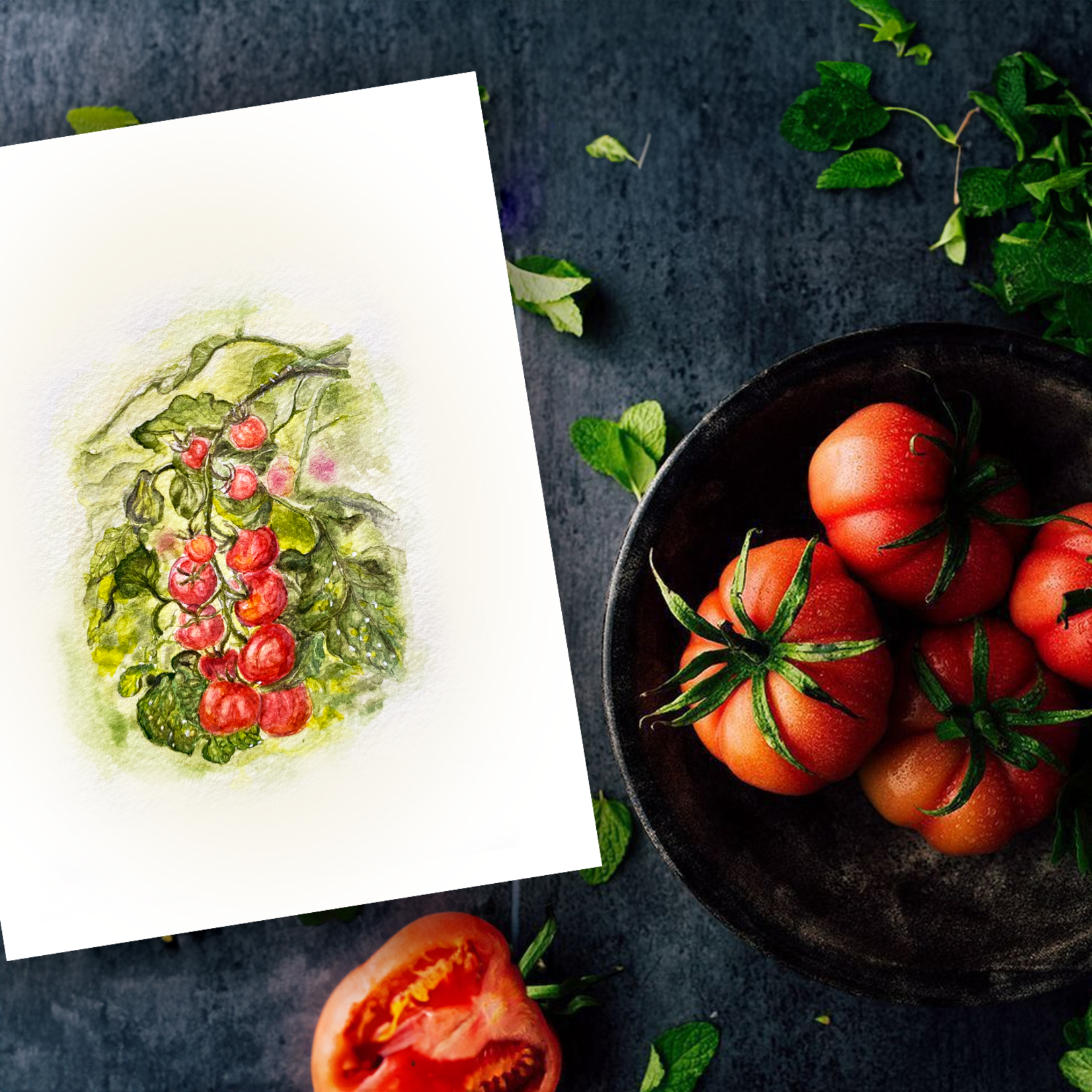 My Muses Card Shop My Muses Card Shop tomato greeting card