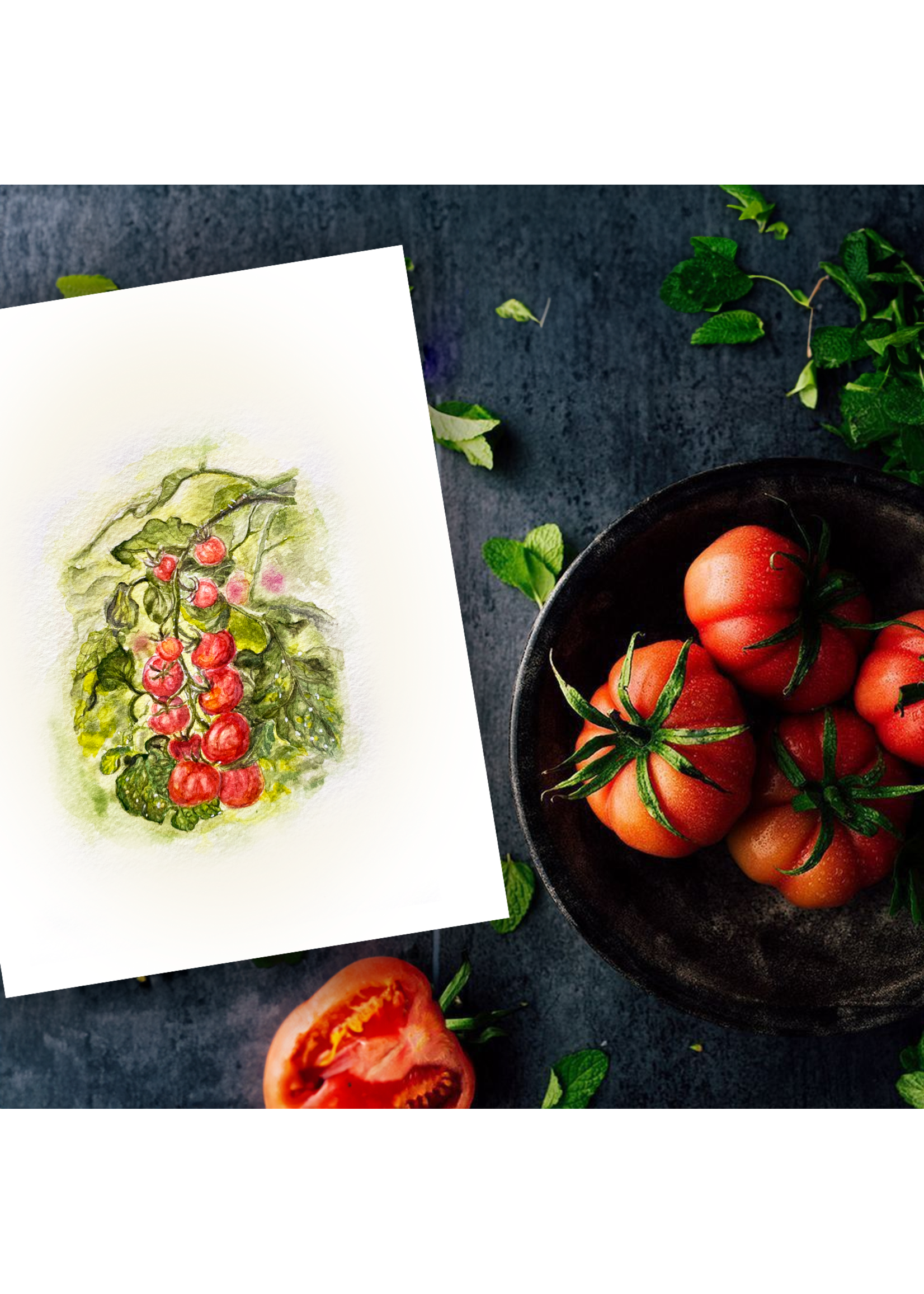 My Muses Card Shop My Muses Card Shop tomato card