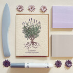The Bower Studio The Bower Studio plantable seed lavender botanical