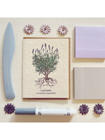 The Bower Studio The Bower Studio plantable seed lavender botanical