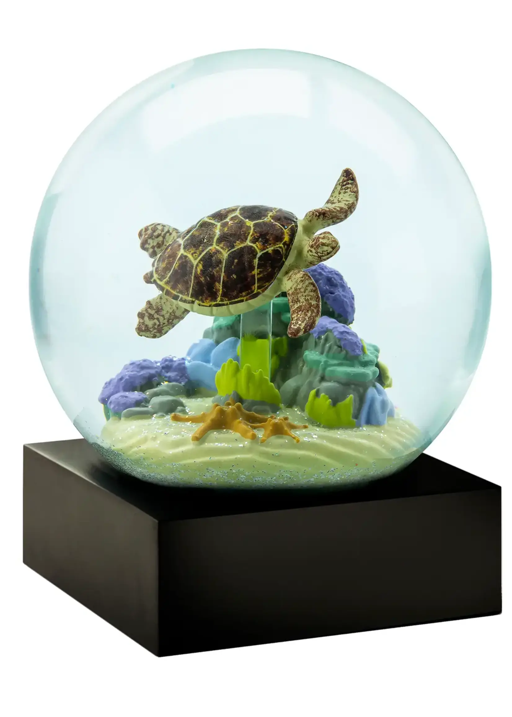 Cool Snow Globes CoolSnowGlobes CS307-TURT Sea Turtle Snow Globe