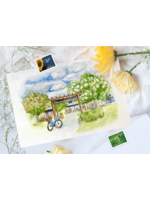 My Muses Card Shop My Muses Card Shop Carrboro Farmers market  postcard