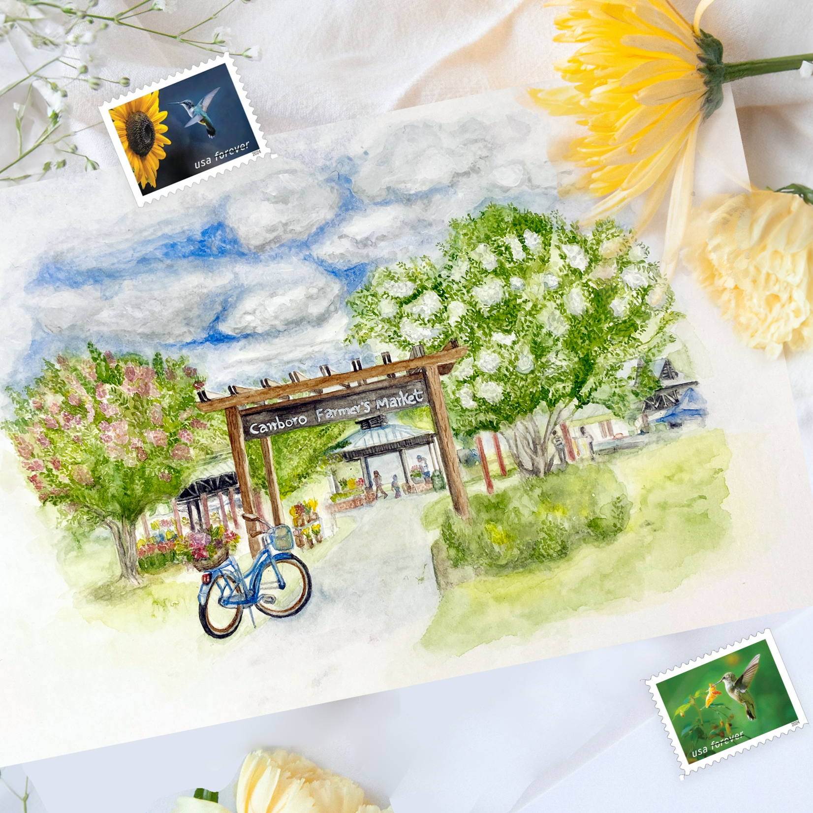 My Muses Card Shop My Muses Card Shop Carrboro Farmers market  postcard