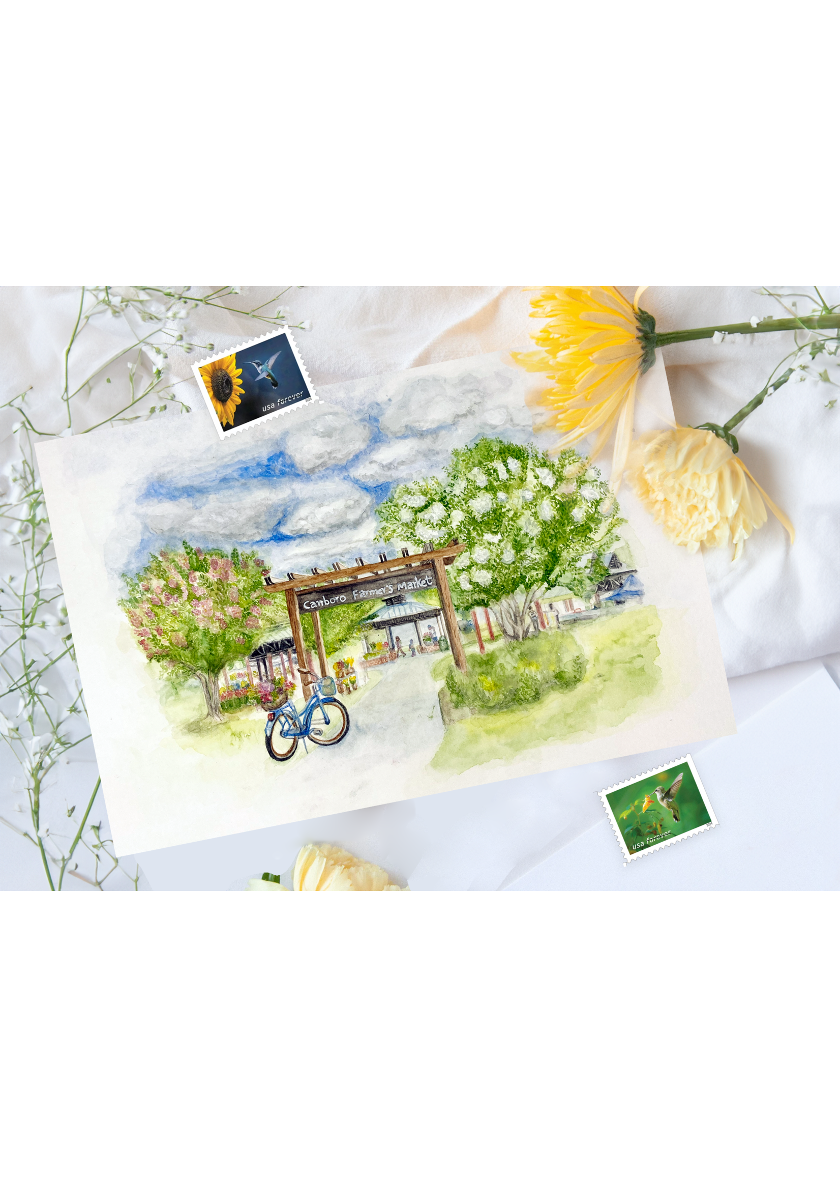 My Muses Card Shop My Muses Card Shop Carrboro Farmers market  postcard