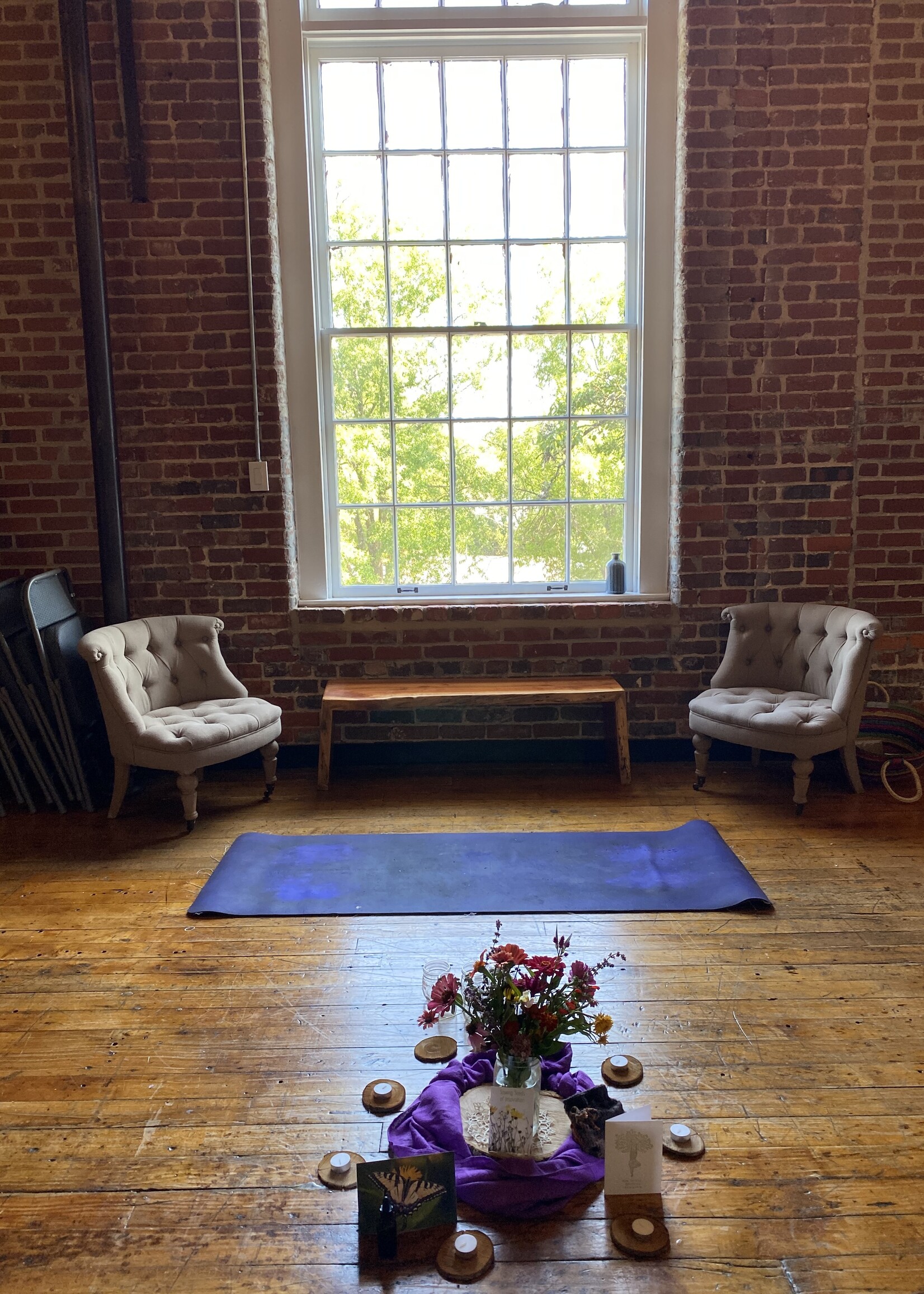 My Muses Free Community Meditation ( Nov 14th, 2025)