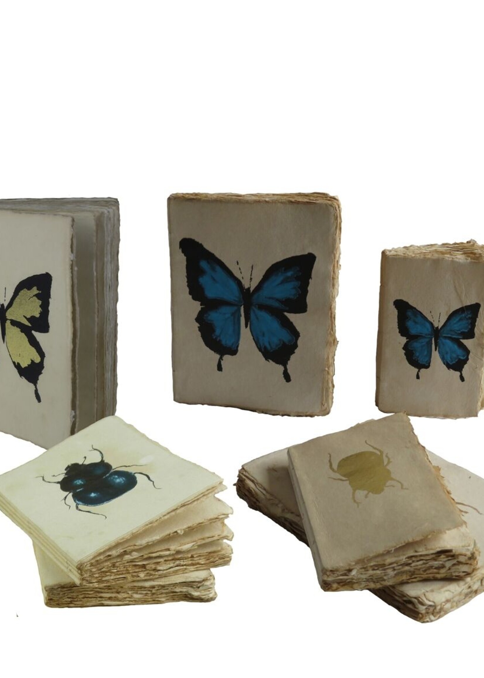 Epigram Epigram journal a5 Cabinet of Curiosity Parchment Paper Notebook insect