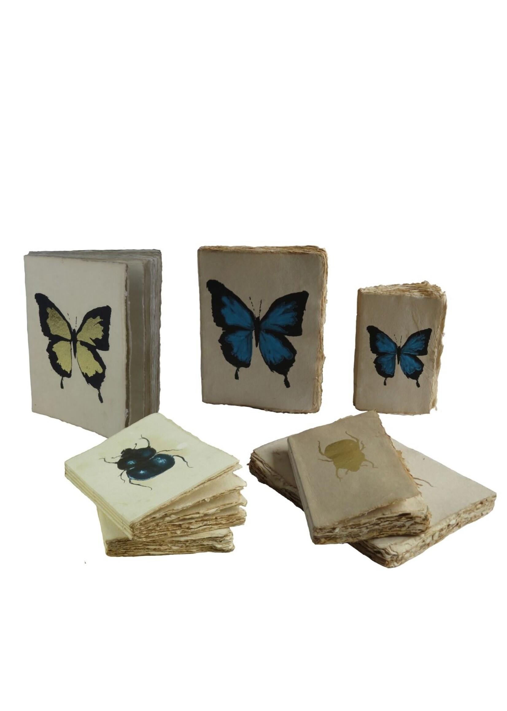 Epigram Epigram journal a5 Cabinet of Curiosity Parchment Paper Notebook insect