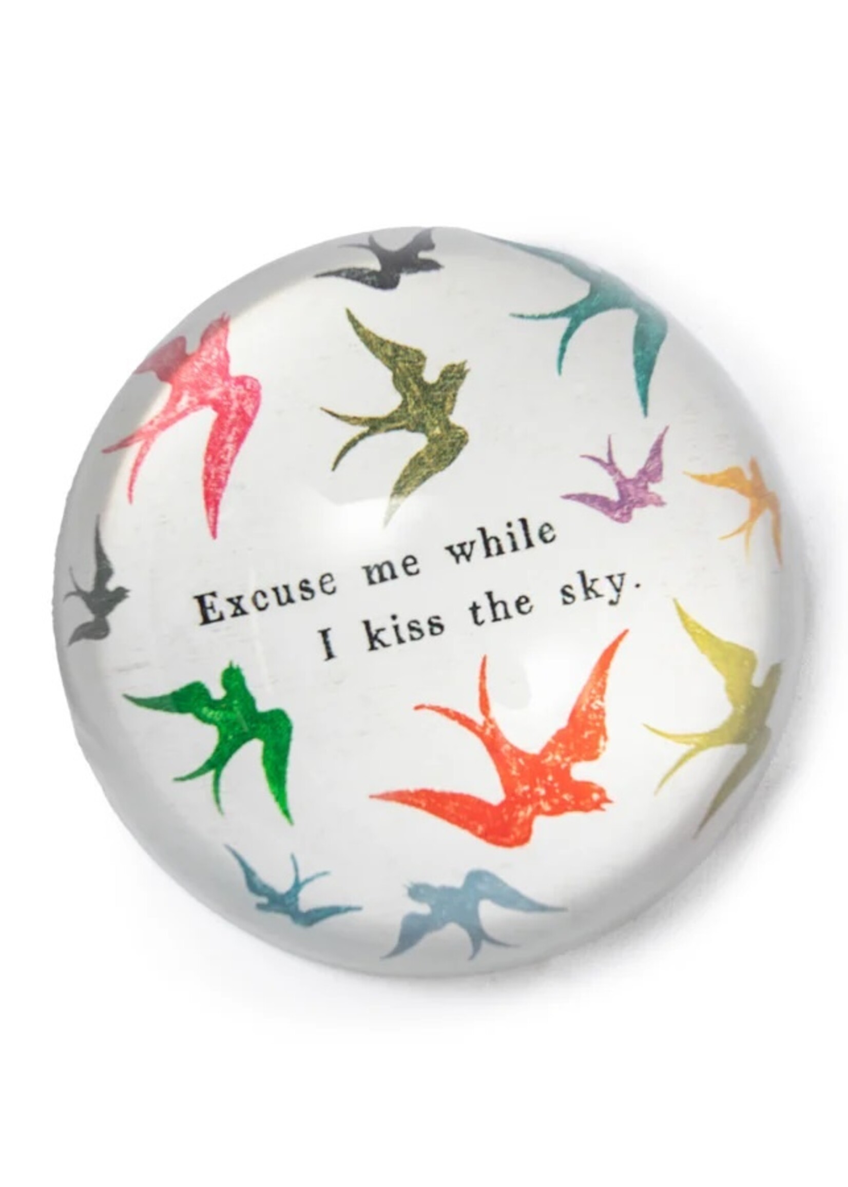 Sugarboo & Co. Sugarboo PW141  excuse me while I kiss  Paperweight  4"x4"