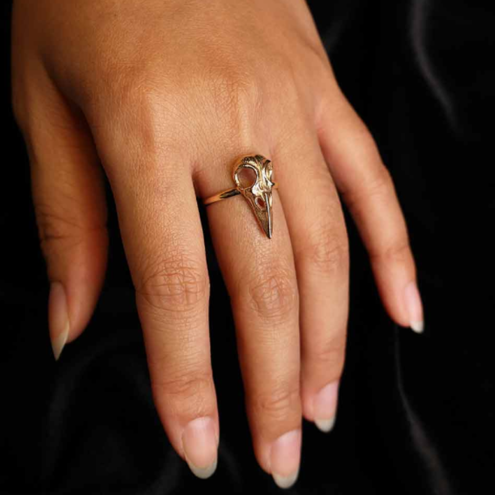 Nina Designs Nd Sterling Raven Skull Ring  6
