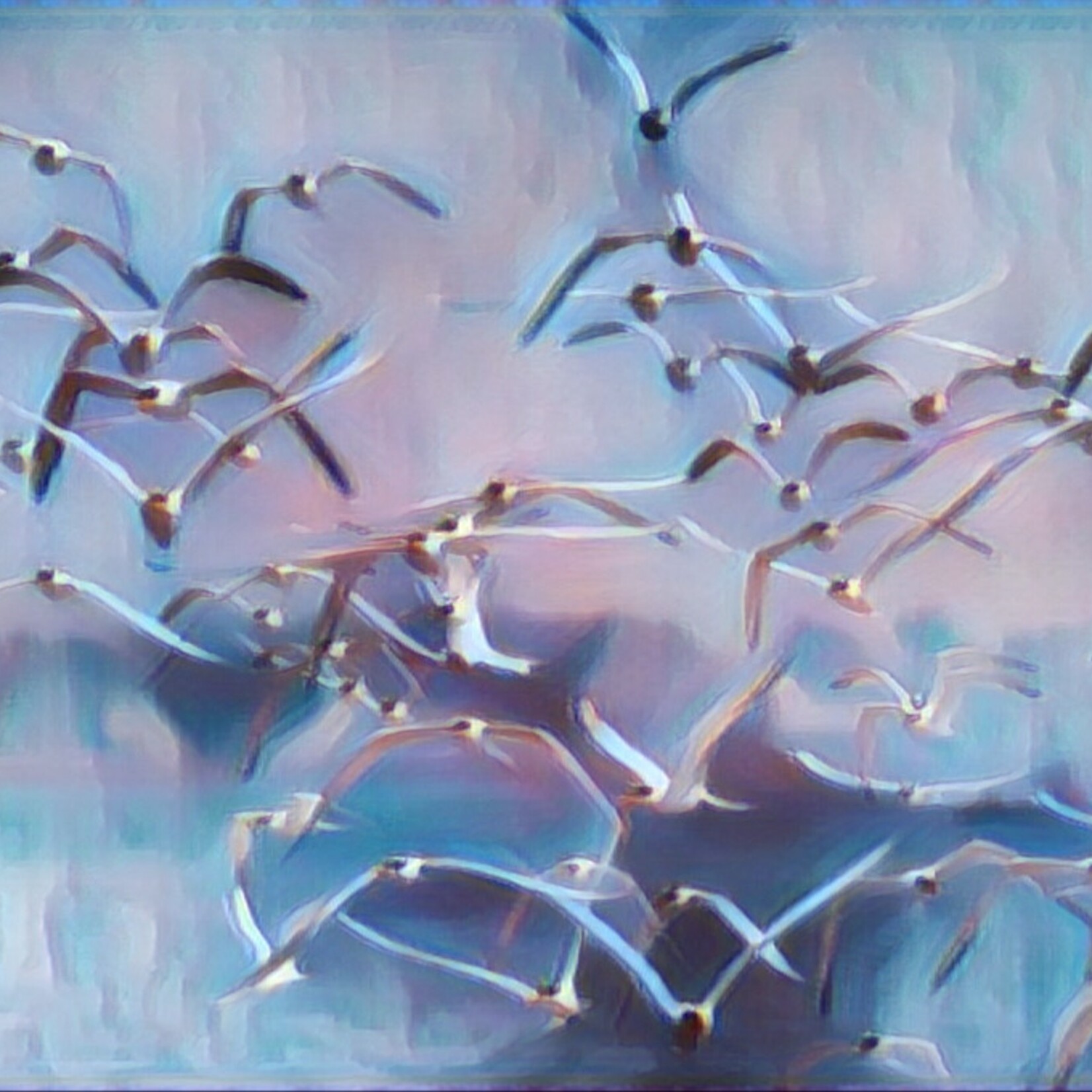 Muse Gallery A Flock of Seagulls by Cindy K. Smith Muse Gallery