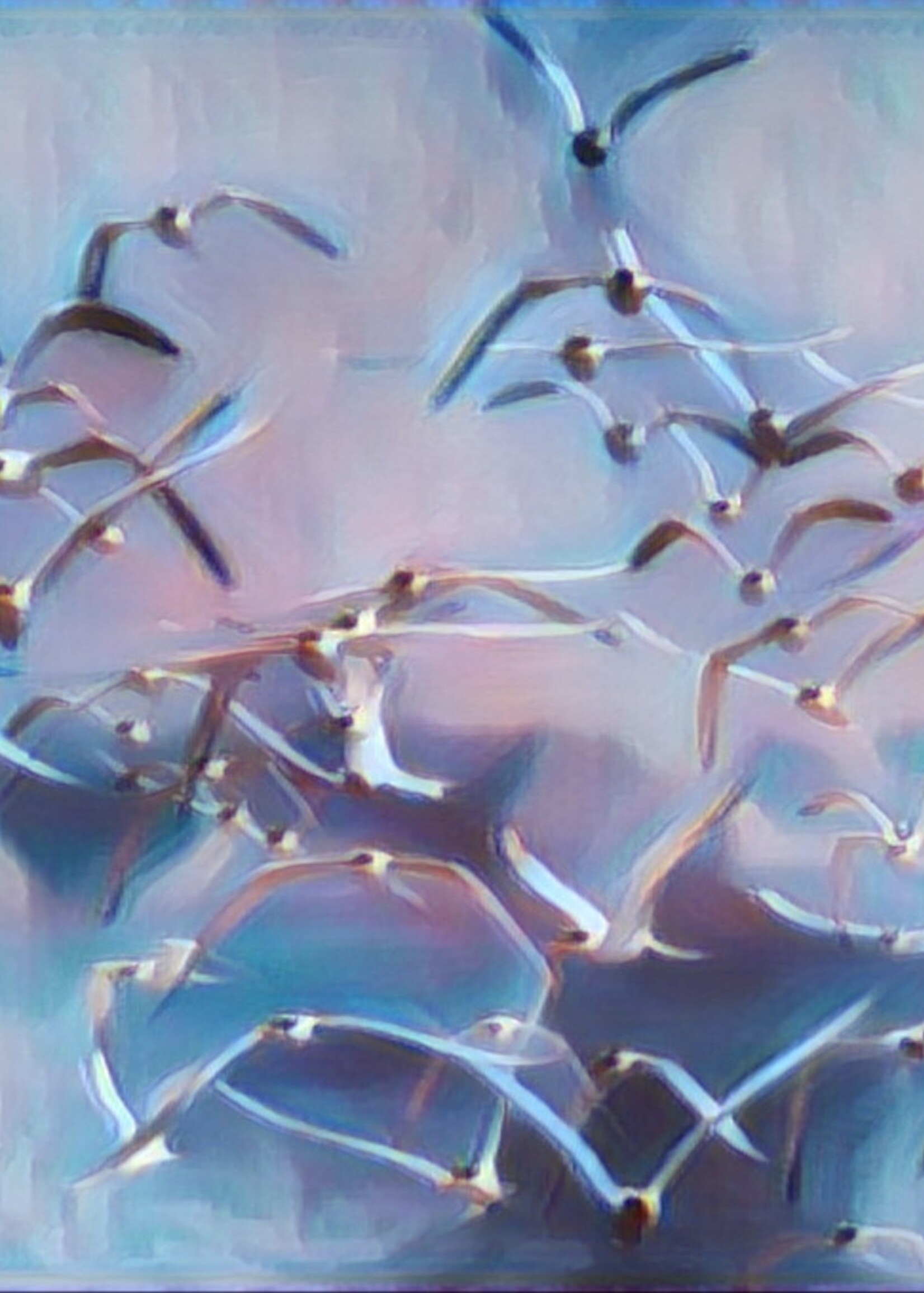 Muse Gallery A Flock of Seagulls by Cindy K. Smith Muse Gallery