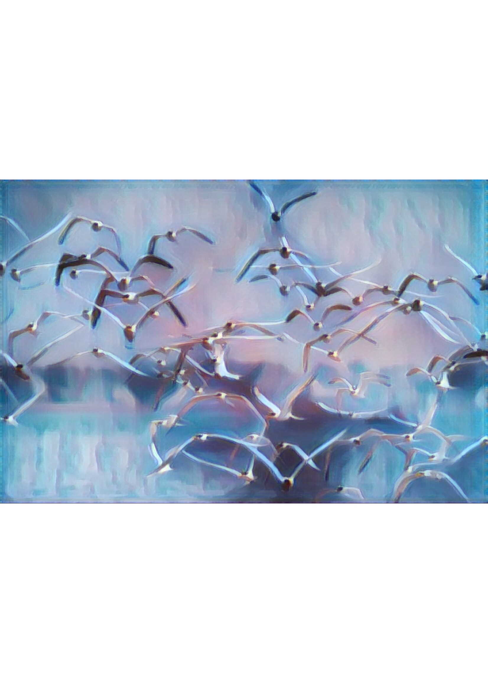 Muse Gallery A Flock of Seagulls by Cindy K. Smith Muse Gallery