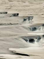 Muse Gallery Beach Harrows by Cindy K. Smith Muse Gallery