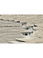 Muse Gallery Beach Harrows by Cindy K. Smith Muse Gallery