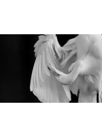 Muse Gallery Beauty & Grace by Cindy K. Smith