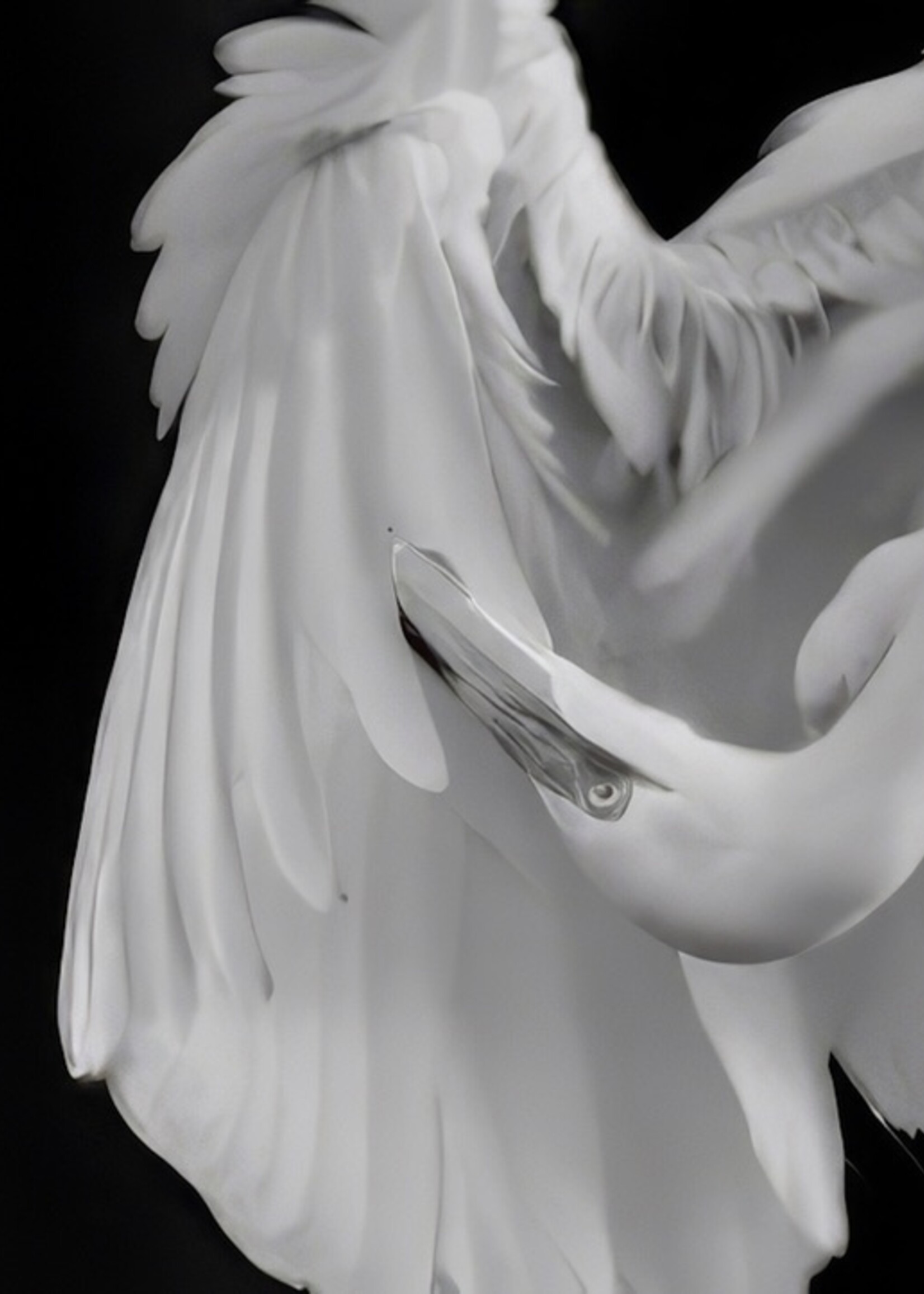 Muse Gallery Beauty & Grace by Cindy K. Smith