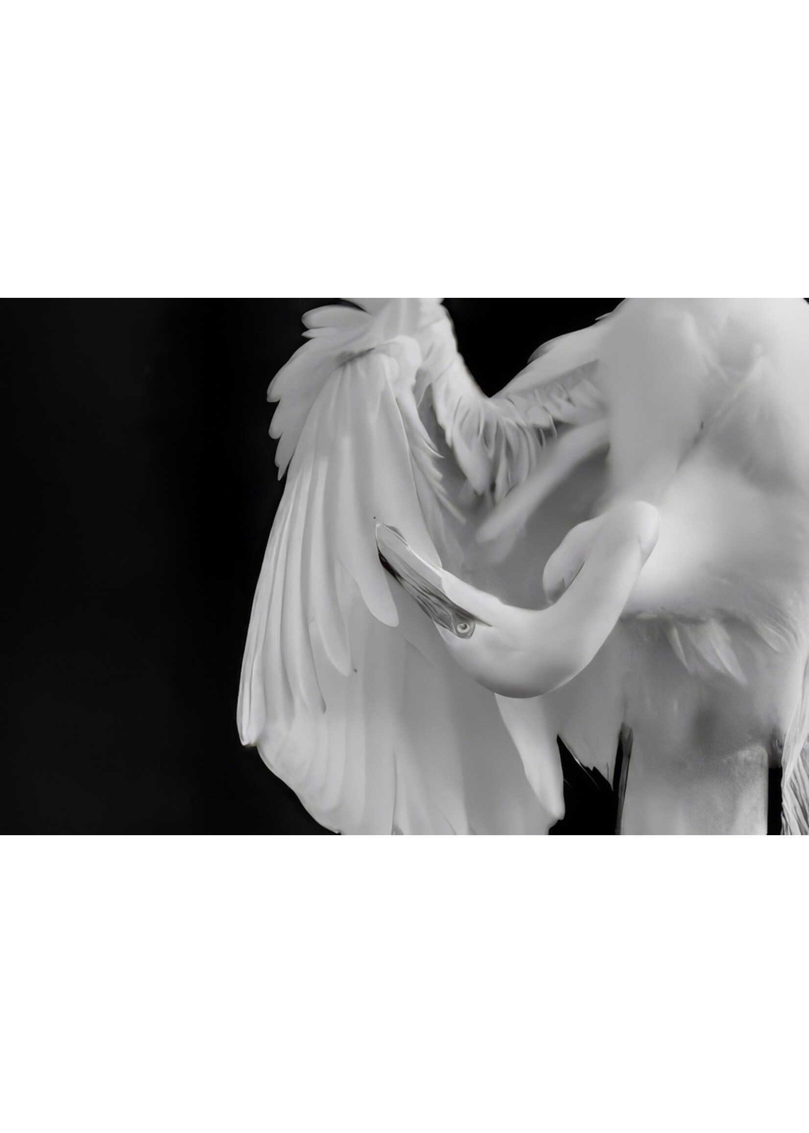 Muse Gallery Beauty & Grace by Cindy K. Smith