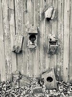 Muse Gallery Bird House Community by Cindy K. Smith