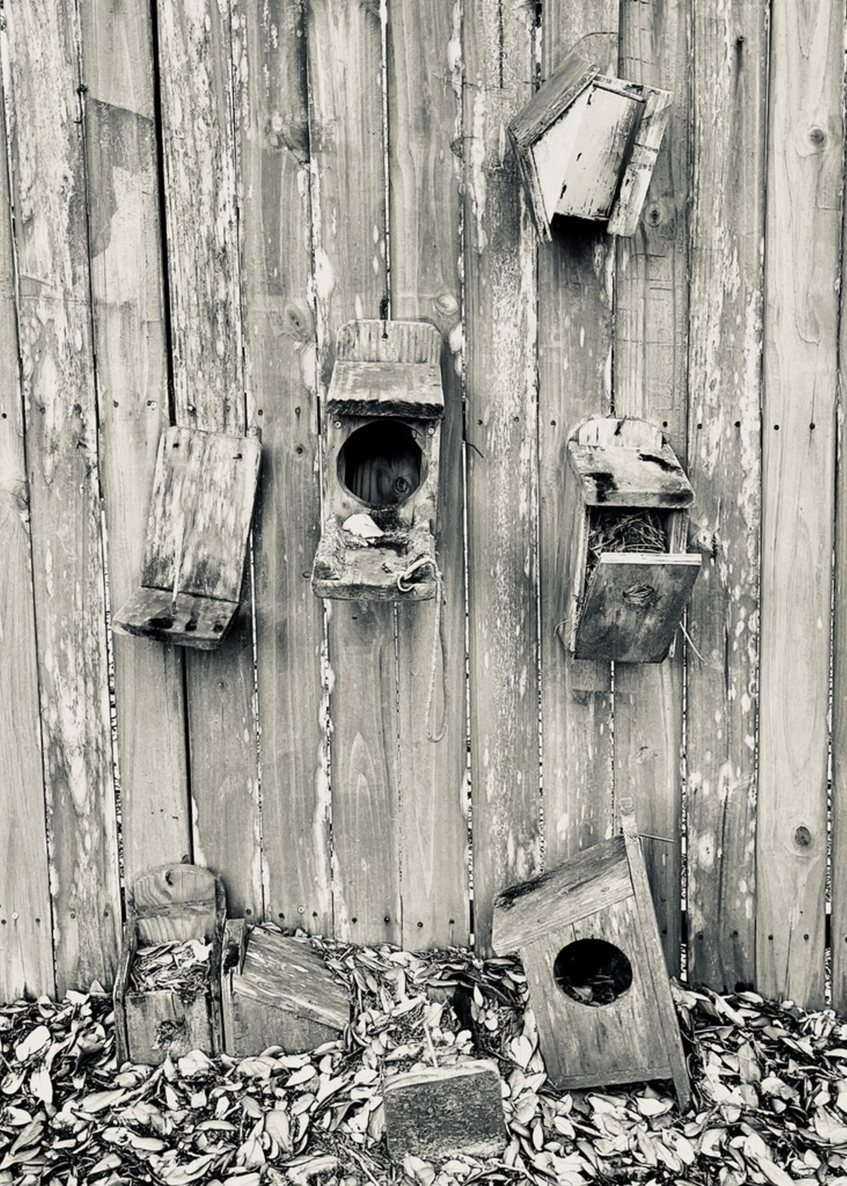 Muse Gallery Bird House Community by Cindy K. Smith