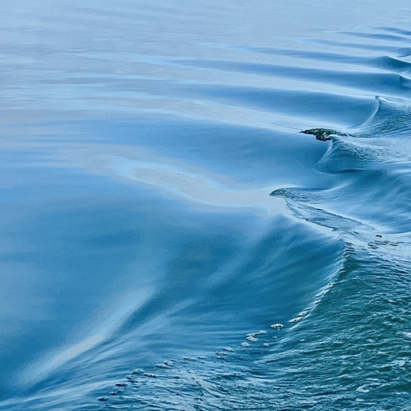 Muse Gallery Blue Water  by Cindy K. Smith