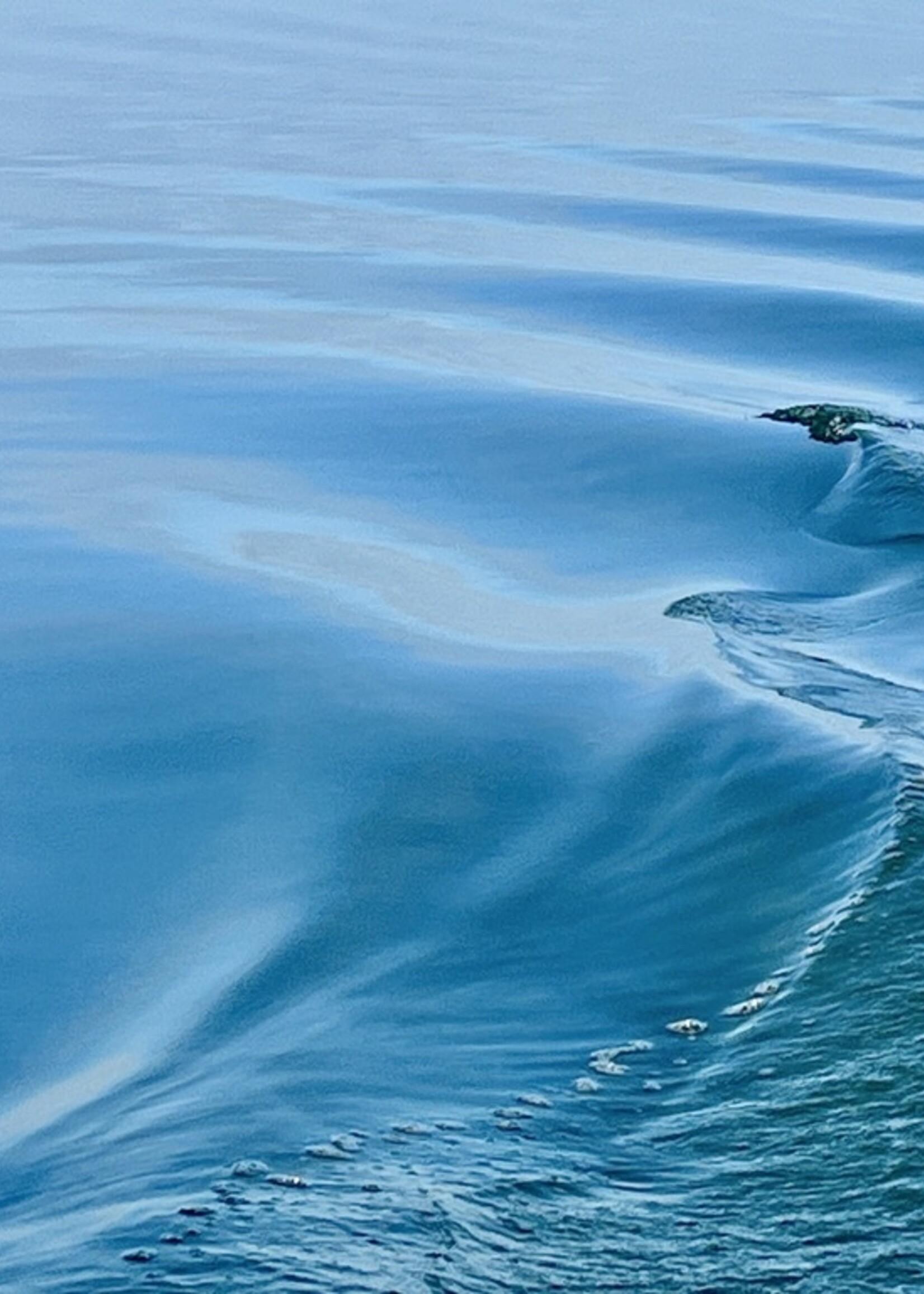 Muse Gallery Blue Water  by Cindy K. Smith