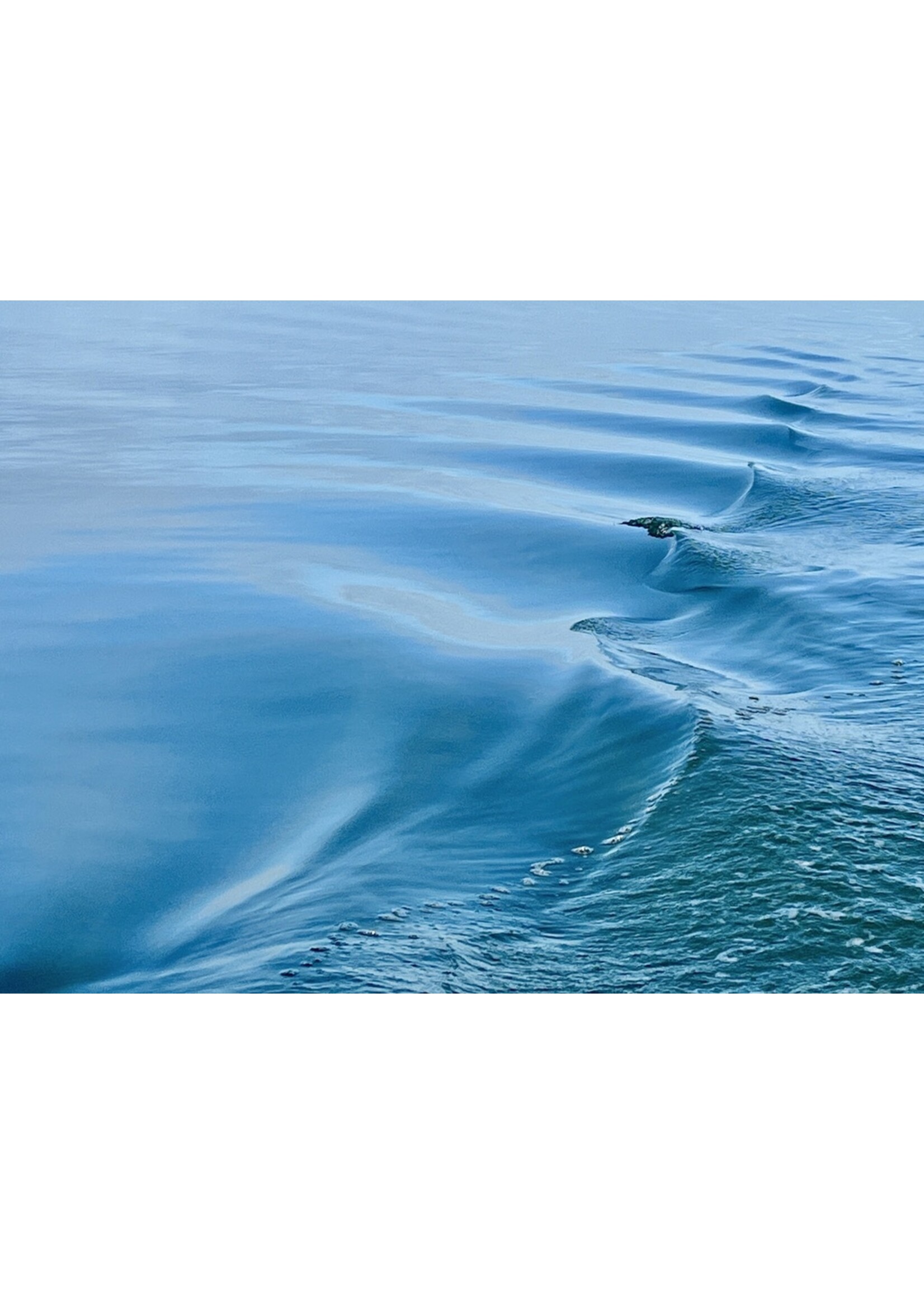 Muse Gallery Blue Water  by Cindy K. Smith