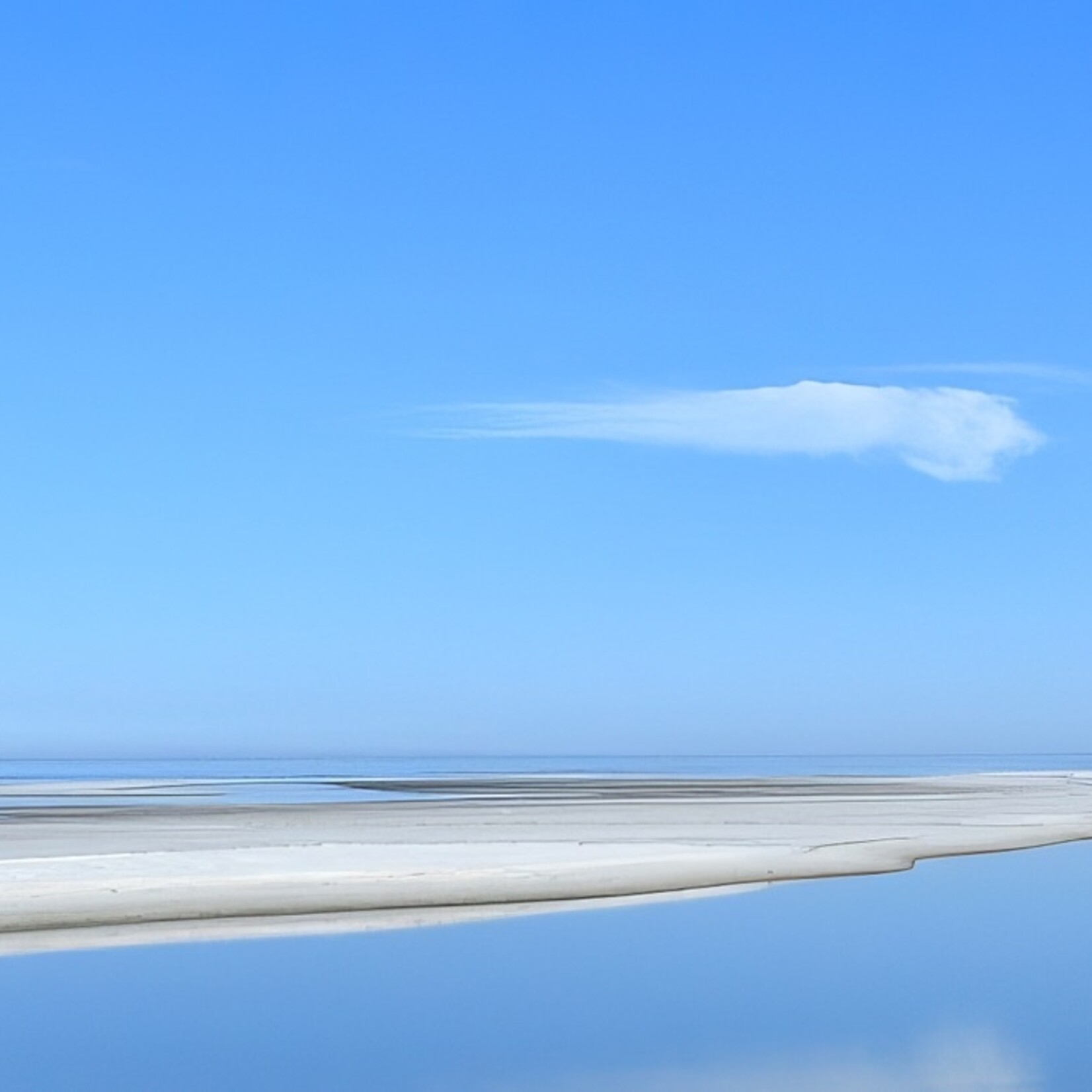 Muse Gallery Cedar Island Blues by Cindy K. Smith Muse Gallery