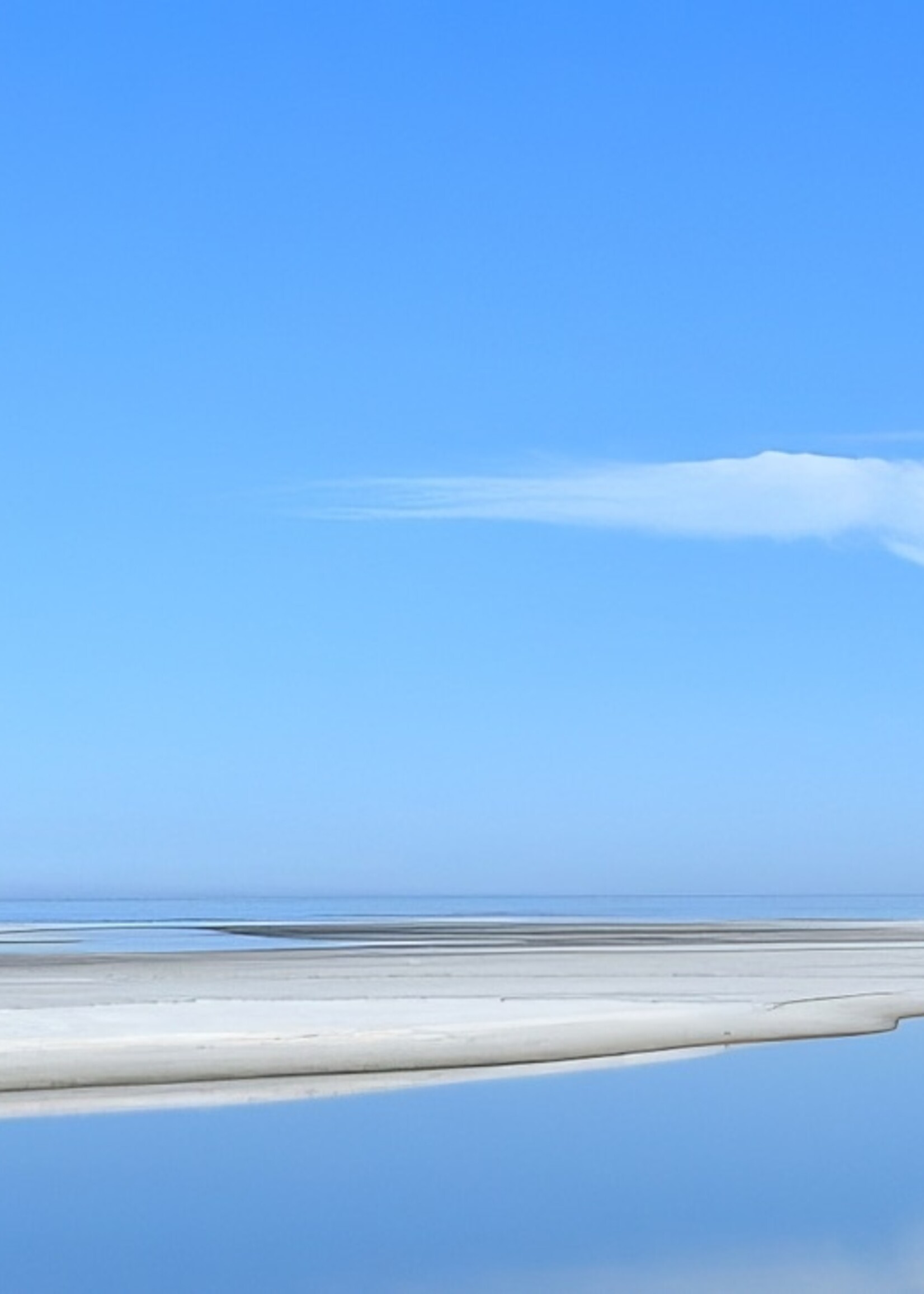 Muse Gallery Cedar Island Blues by Cindy K. Smith Muse Gallery