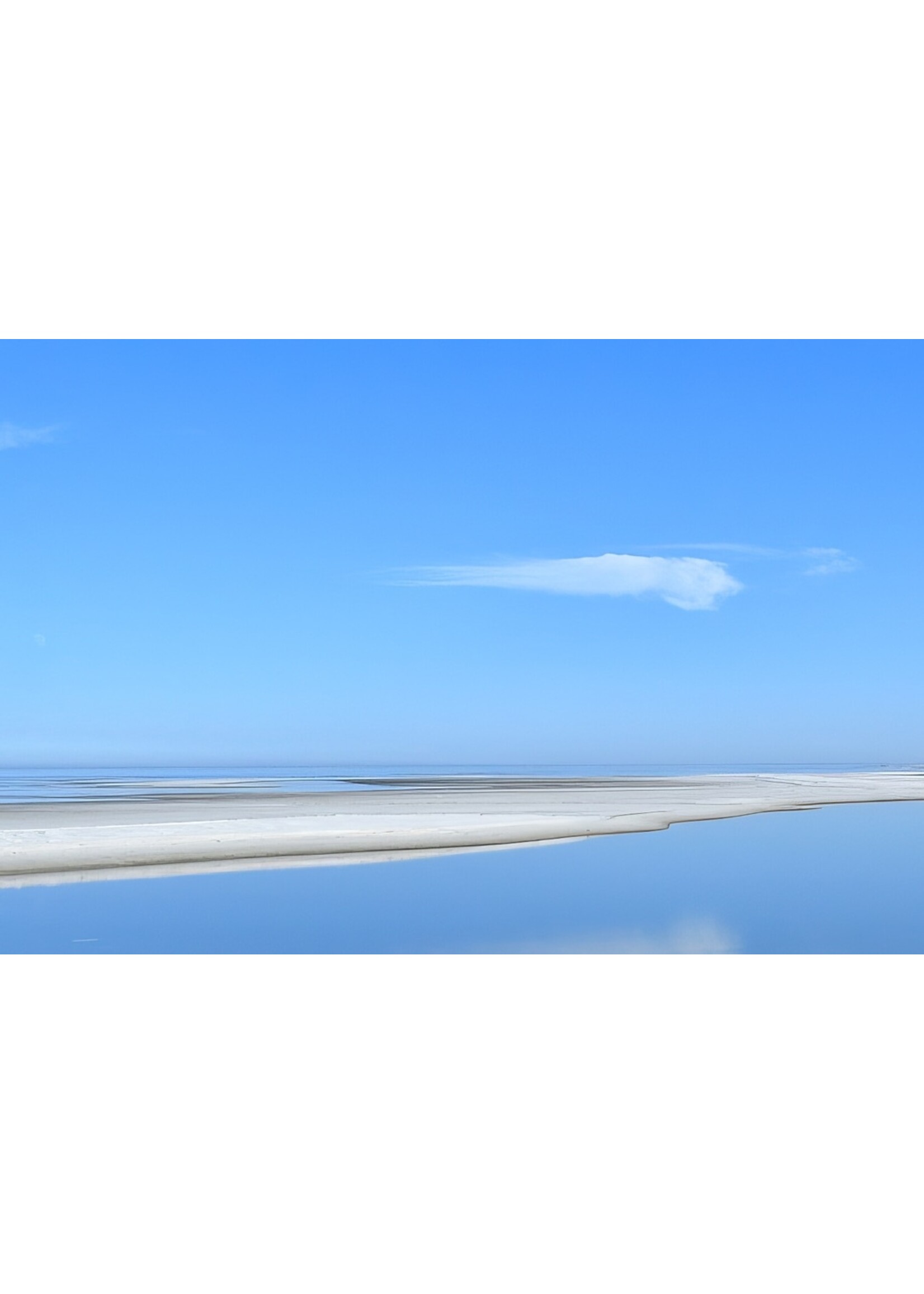 Muse Gallery Cedar Island Blues by Cindy K. Smith Muse Gallery