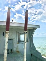 Muse Gallery Davis Island Water Taxi by Cindy K. Smith