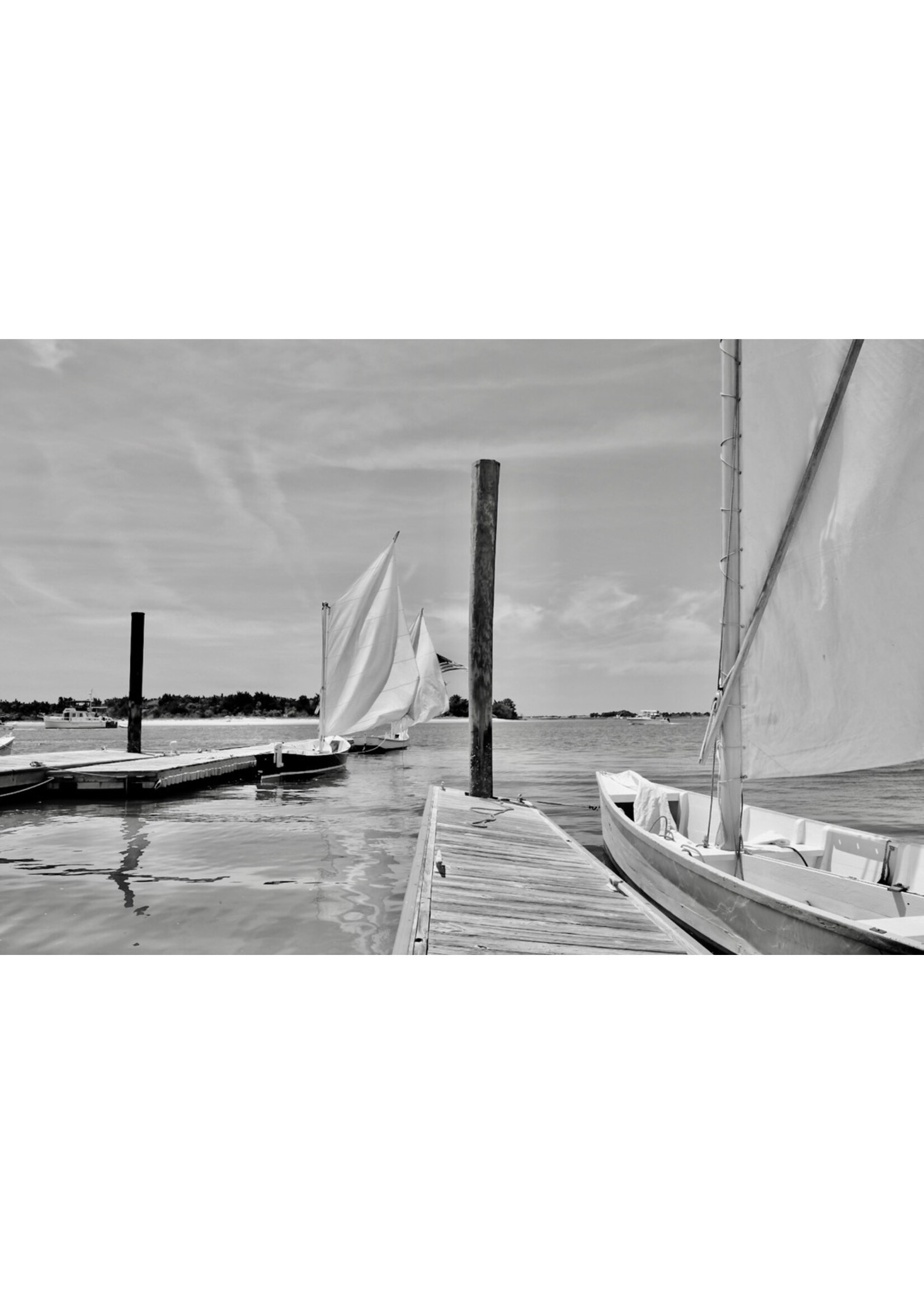 Muse Gallery Day Sailor Sharpie by Cindy K. Smith