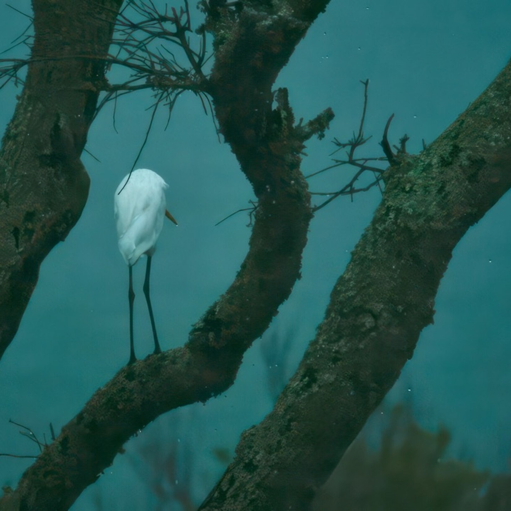 Muse Gallery Egret in Blue by Cindy K. Smith
