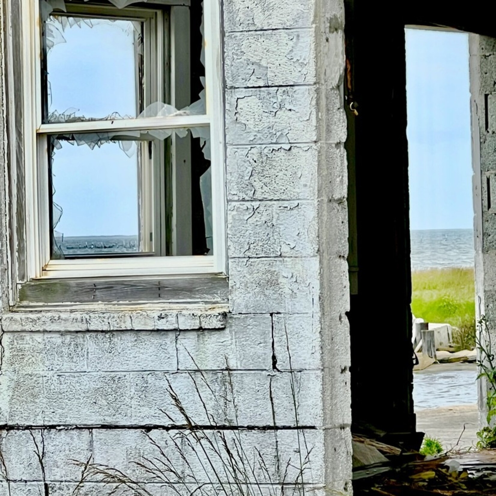 Muse Gallery Fish House Door by Cindy K. Smith