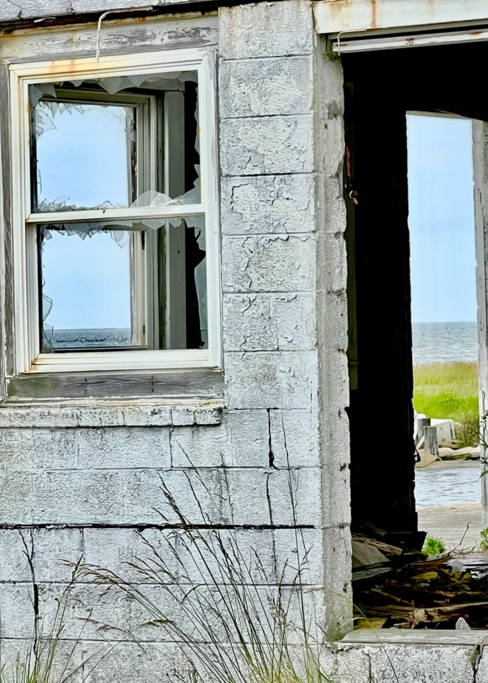 Muse Gallery Fish House Door by Cindy K. Smith