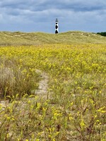 Muse Gallery Gold & Diamonds by Cindy K. Smith