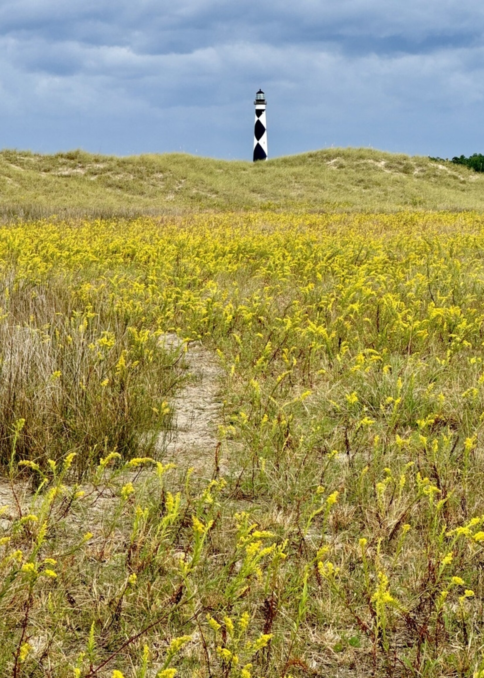 Muse Gallery Gold & Diamonds by Cindy K. Smith